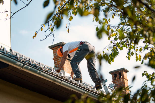 Cold Roofs in Carrboro, NC